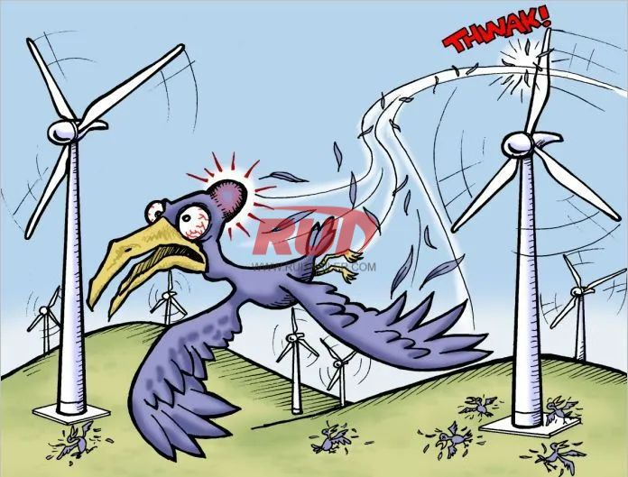 Damage to birds by wind turbine blades