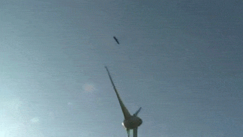 an eagle being shot down by a windmill blade 