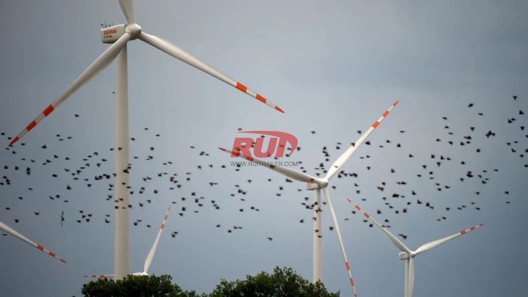 wind turbine blade hurt birds